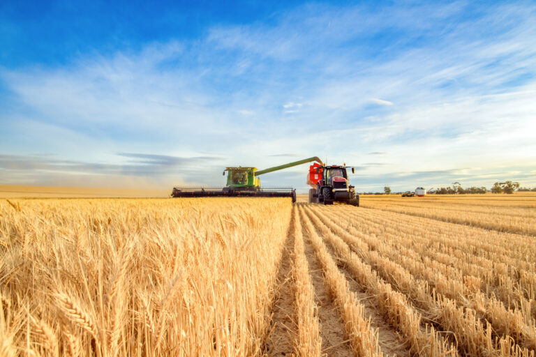 agriculture 1